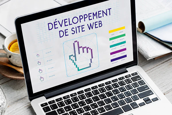 Développement et mise en ligne