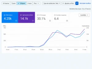Chute de trafic SEO et cas étudié