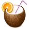 Logo Voyage Madagascar